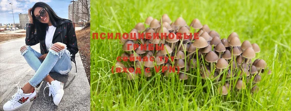 МДПВ Липки