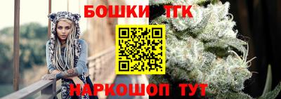 индика Гусь-Хрустальный