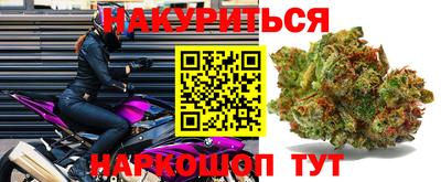 Альфа ПВП Будённовск