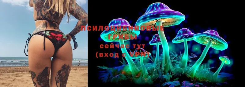 Псилоцибиновые грибы MAGIC MUSHROOMS  наркошоп  Джанкой 